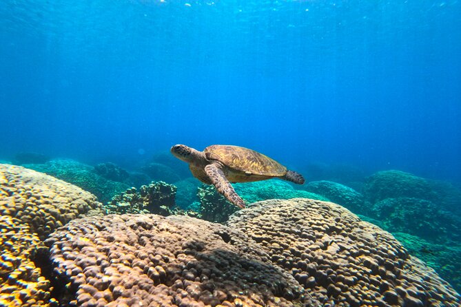 Daymaniyat Islands Snorkeling Sharing Trip - The boat ride to the Daymaniyat Islands