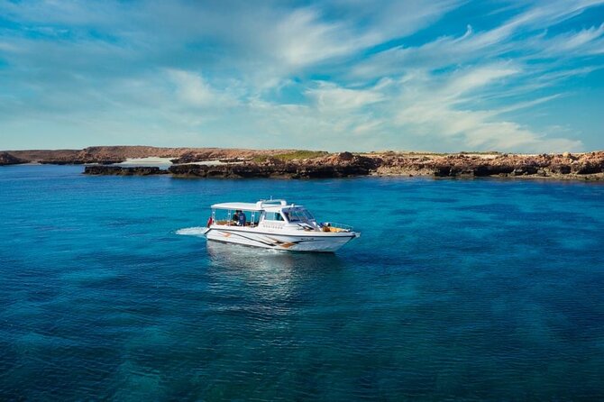 Daymaniyat Islands Snorkeling Sharing Trip - Who will enjoy this five-hour outing?