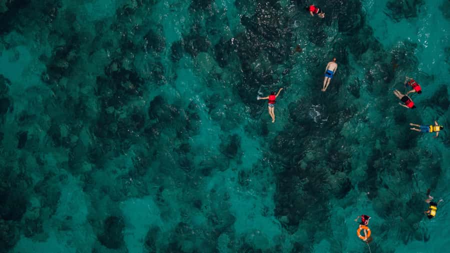 Daymaniyat Islands Snorkeling Small Group Turtles - What is included for $104
