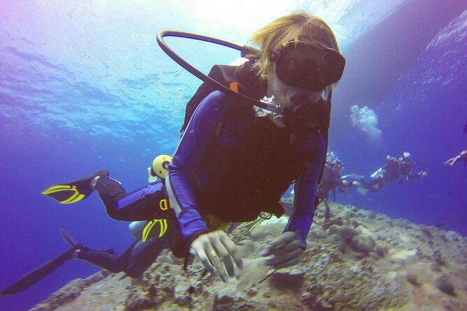 Daymaniyat Islands Snorkeling Tour - A sea escape that fits neatly into a Muscat morning