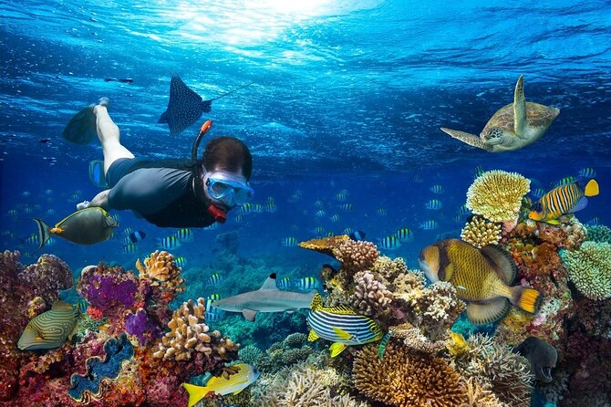 Daymaniyat Islands Snorkeling Tour - First stops: swimming and island views
