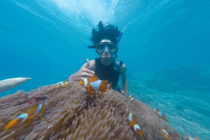 Daymaniyat Islands Snorkeling Tour - Food, water, and the feel onboard