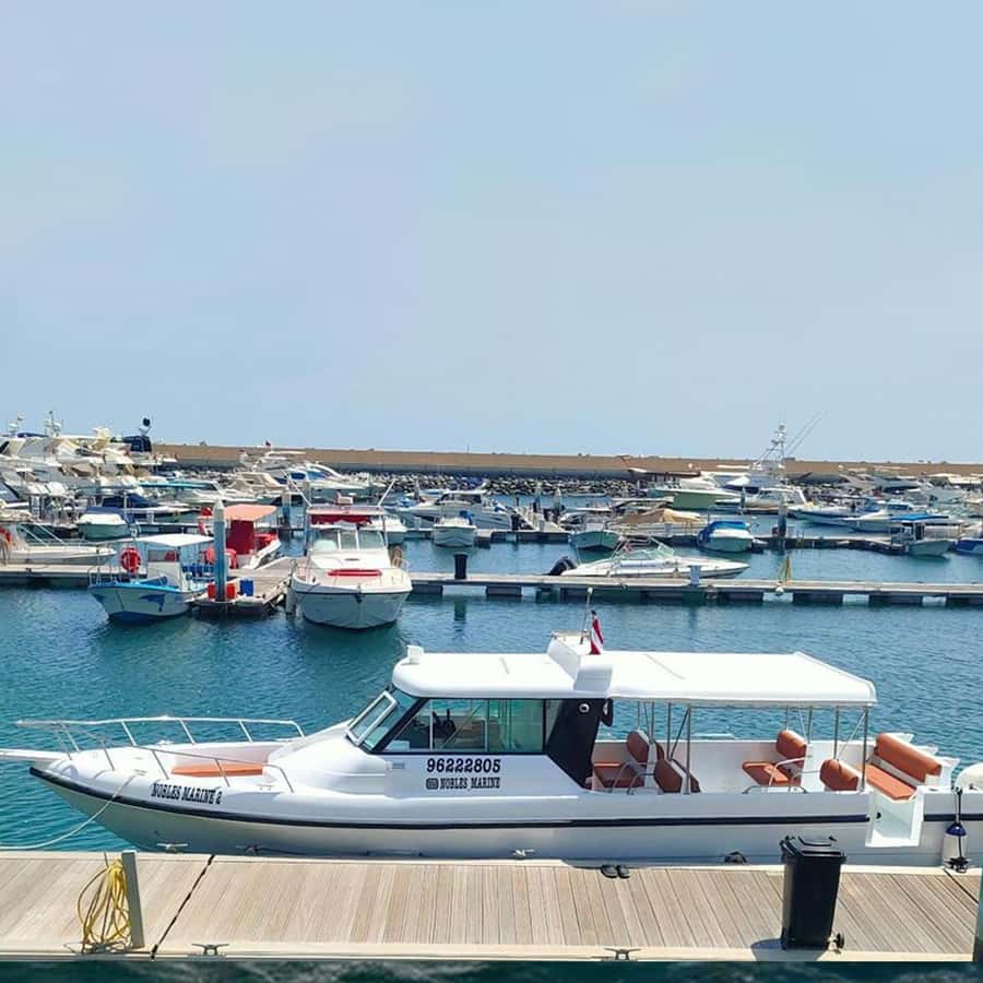 Daymaniyat Islands Snorkeling with Picnic Lunch - Picnic lunch on the island