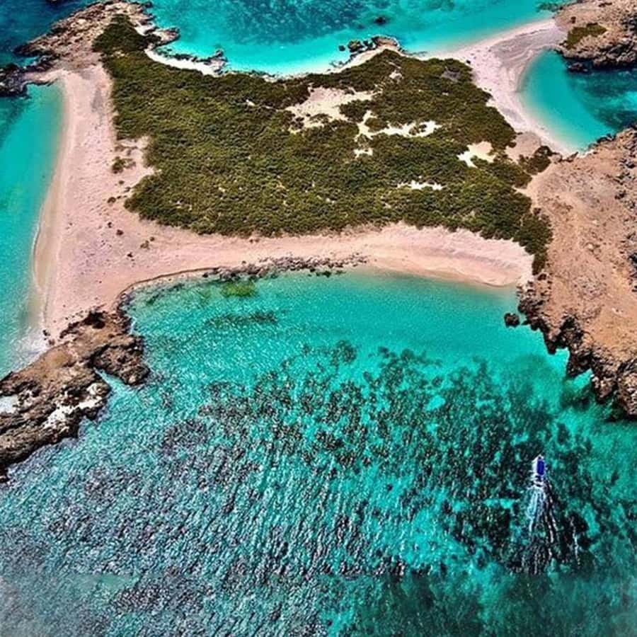 Daymaniyat Islands Snorkeling with Picnic Lunch - Guides, boat comfort, and group atmosphere