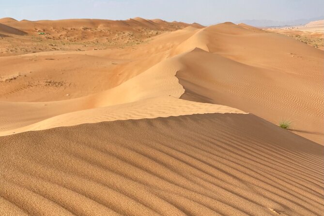 Desert Adventure with Off-Roading and Swimming in Wadi (Private). - A private road into Oman’s desert