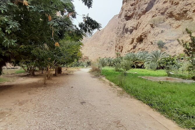 Desert Guided Overnight Camp Tour - Day one: mountains and the pools of Wadi Bani Khalid