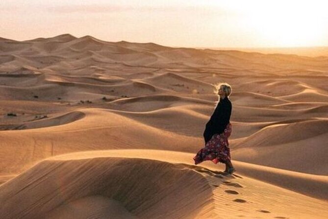 Desert Overnight in Private Bedouin Tent - Key Points at a Glance