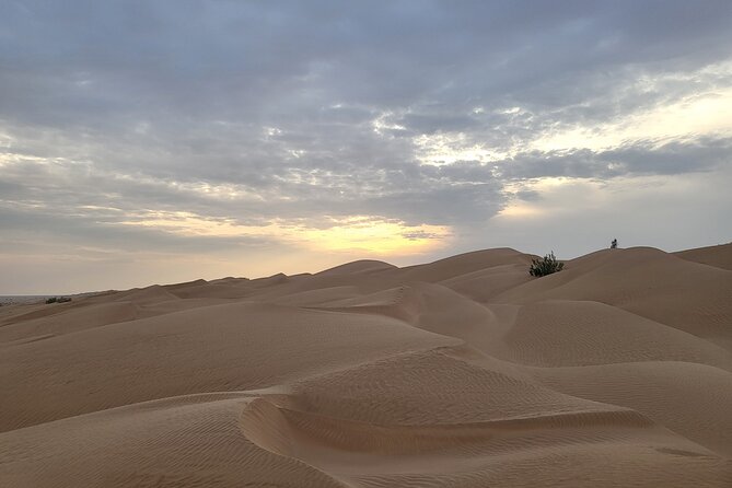 Desert Safari in Empty Quarter with Dune Bashing - Timing, comfort, and the desert sunset