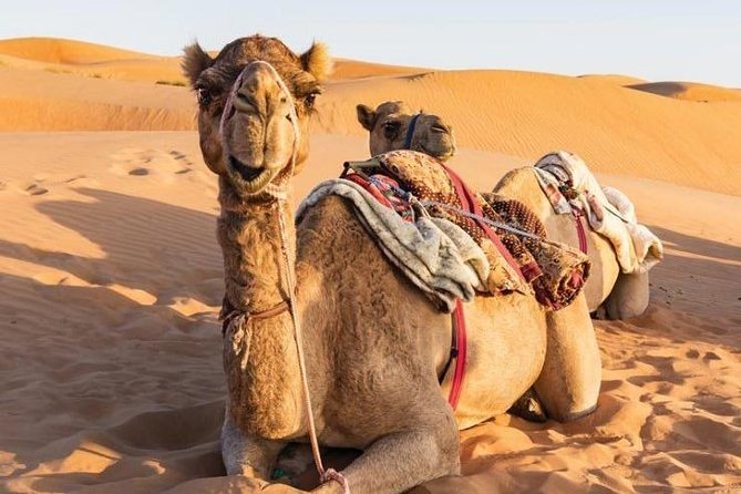 Desert Safari Private - Crossing the wide dunes of Wahiba Sands