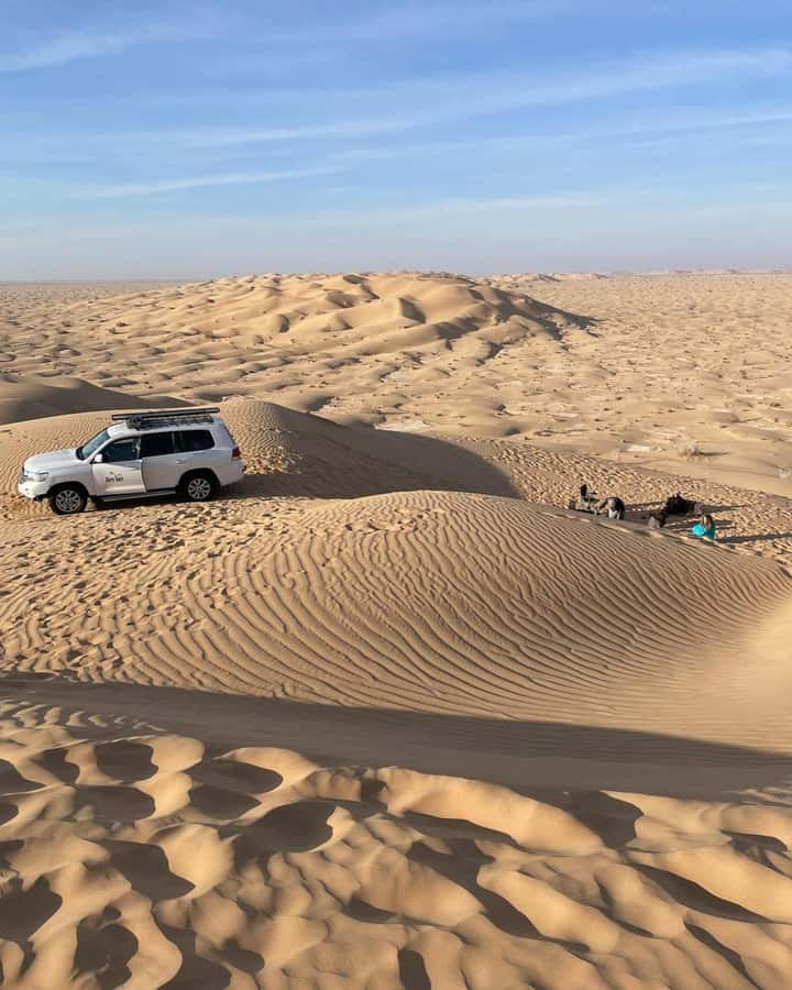 Desert Safari, Sunset & Sand Bashing (Rub Al Khali Desert) - What the $180 price really buys