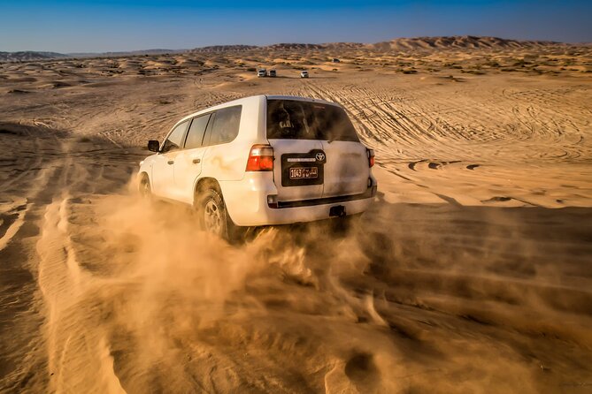 Desert Safari Trip Full Day & Ubar Lost city - Black camels in the Empty Quarter
