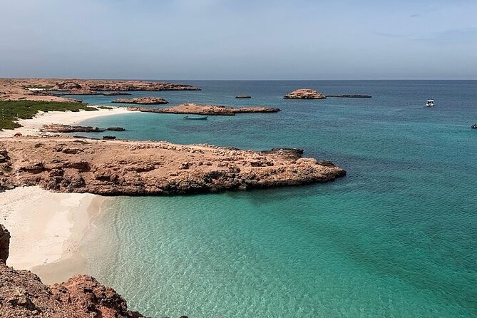 Dimaniyat Island Tour with Snorkeling - Snorkeling in clear water around the Dimaniyat Islands