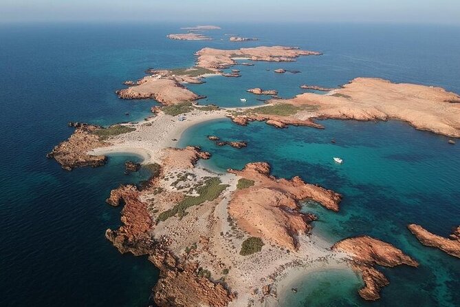 Dimaniyat Island Tour with Snorkeling - Dolphin spotting from the boat