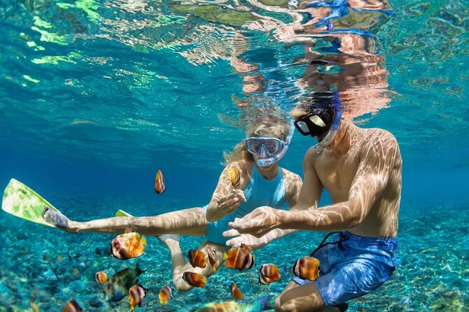 Dimaniyat Island Tour with Snorkeling - Turtle watching in a natural setting