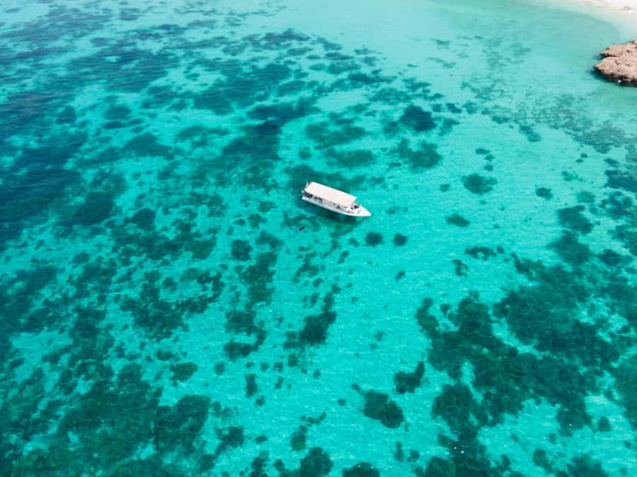 Dimaniyat Islands Scuba Diving Trip - Who will enjoy this trip most