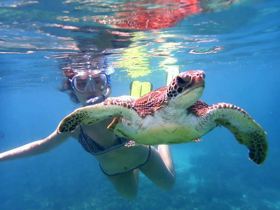 Dimaniyat Islands Snorkeling Trip - What the $85 price includes