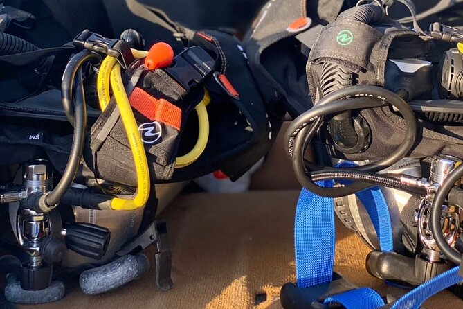 Discover Scuba Diving from a Fishing Village - What makes the Qantab home reef worthwhile