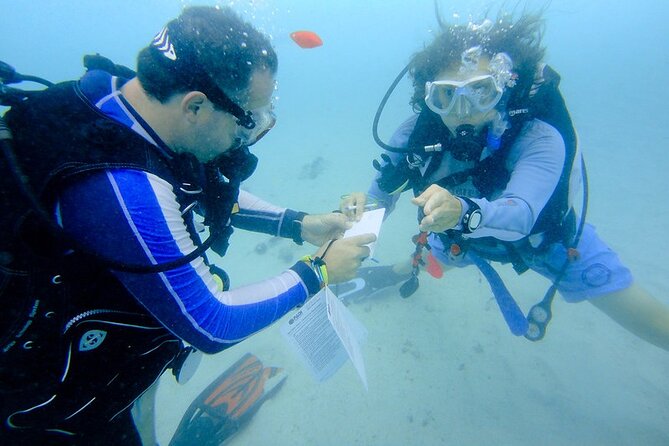 Discover Scuba Diving from a Fishing Village - Is $138 good value for two hours?
