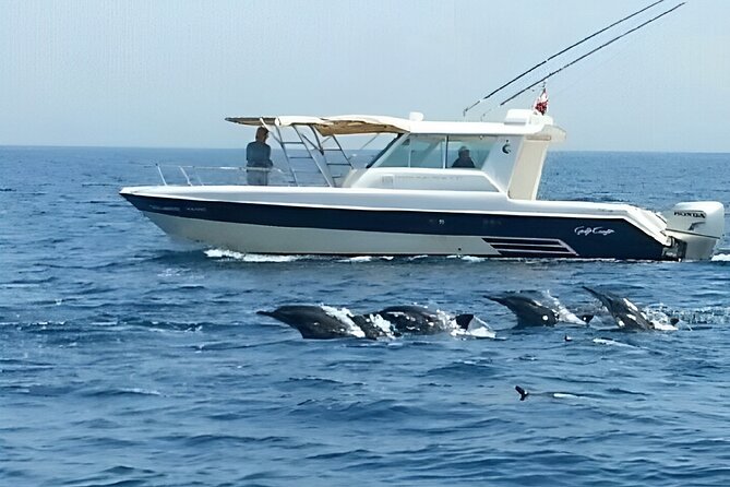 Dolphin Watching and Snorkeling Activity in Muscat - What the $75 price includes