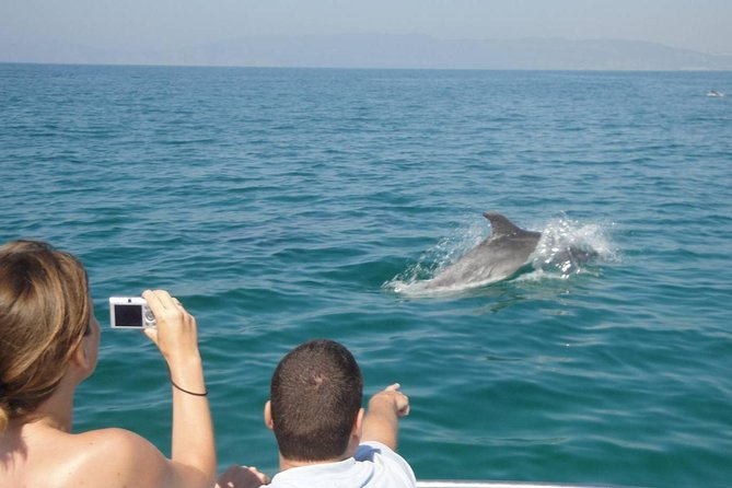 Dolphin Watching and Snorkeling Tour from Muscat - Is $94 a Fair Price?