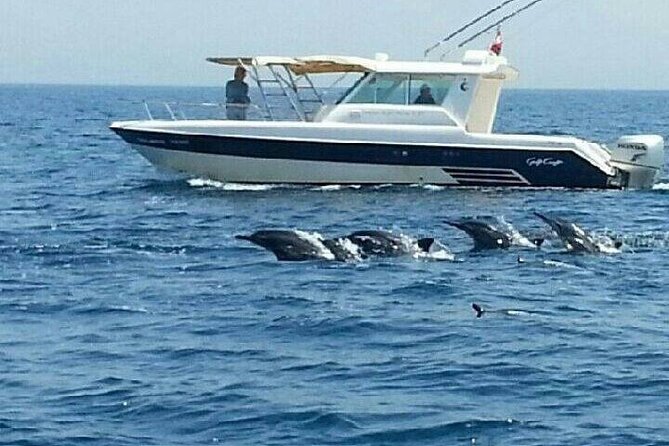 Dolphin Watching in Muscat - Who will enjoy this Muscat outing