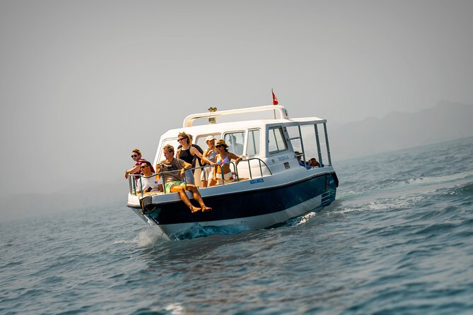 Dolphin Watching in Muscat - Watching for dolphins in Oman’s coastal waters