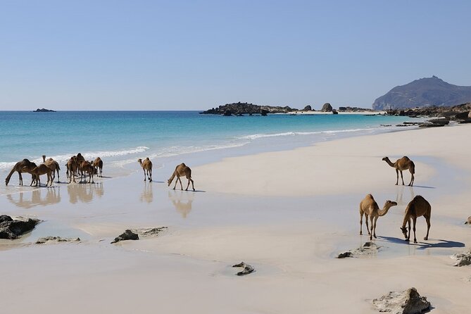 East and West Salalah Combination Private Full-day Tour - Fizayah Beach and the western road