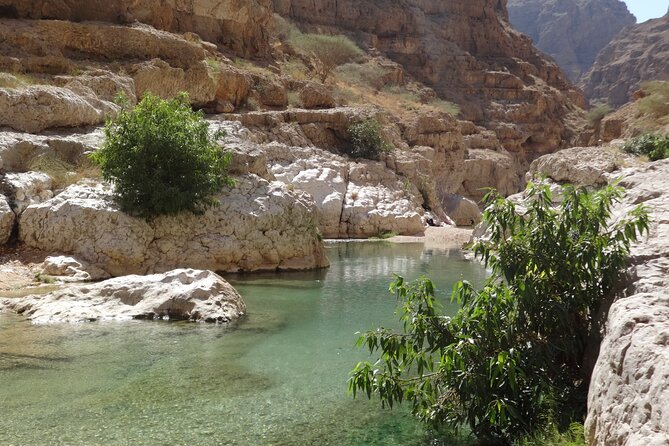 East Coast and Wadi Shab tour - What the $400 group price really means