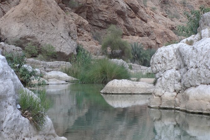 East Coast and Wadi Shab tour - Who will get the most from this Oman day