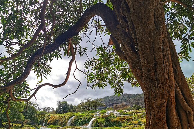 East of Salalah, Mountain Safari, Camels, Waterfall, White beach - Why this east Salalah day trip works