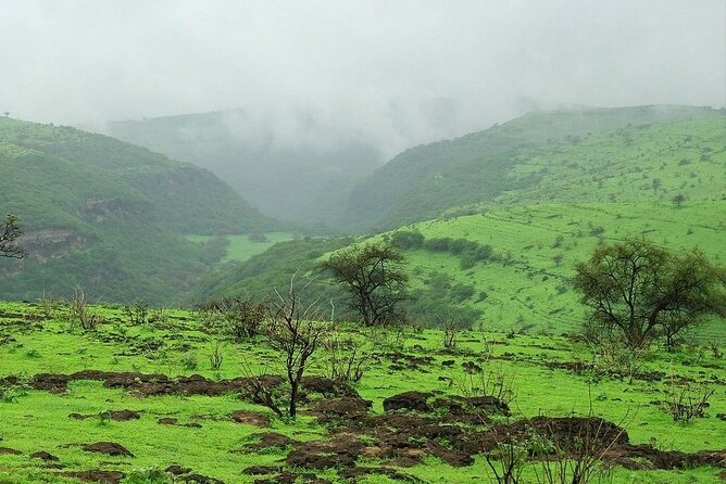 East of Salalah, Mountain Safari, Camels, Waterfall, White beach - Jabal Samhan and the high Dhofar view