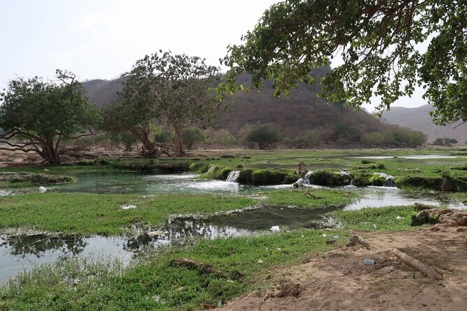 East of Salalah, Mountain Safari, Camels, Waterfall, White beach - Wadi Hannah and the baobab trees