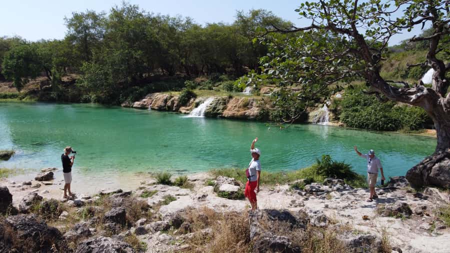 East Salalah Adventure: Nature, History, and Scenic Views - What the small group and transport mean for you