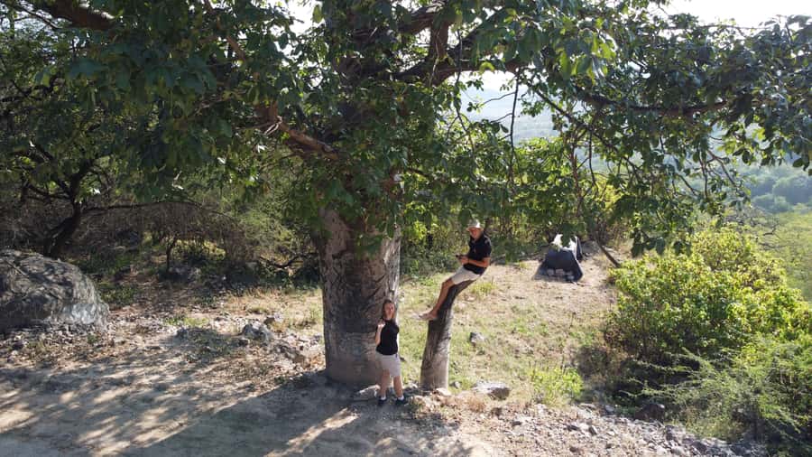 East Salalah Adventure: Nature, History, and Scenic Views - The Anti-Gravity Point adds a curious roadside puzzle