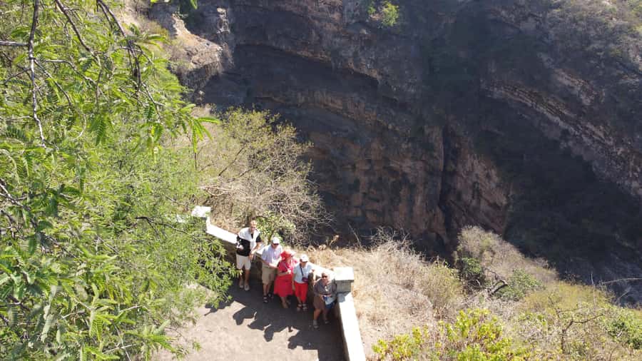 East Salalah Adventure: Nature, History, and Scenic Views - Baobab trees make the scenery feel wonderfully strange