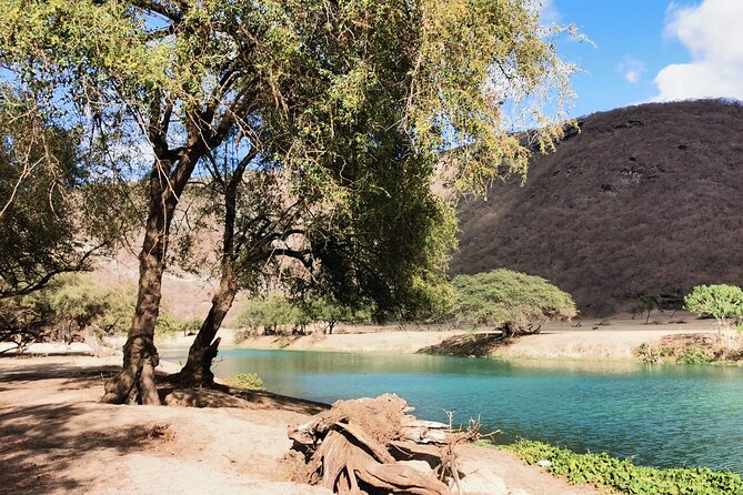 East Salalah Highlights: Half-Day Heritage & Scenic Countryside - Sumhuram and the ancient frankincense trade