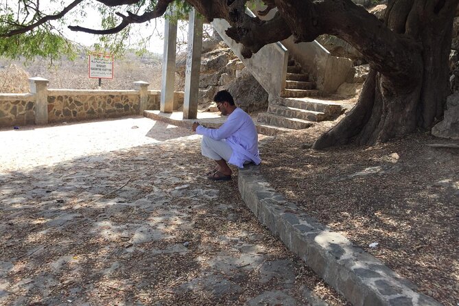 East Salalah Private Tour by VisitSalalah - Jabal Samhan and the high-country change of scene
