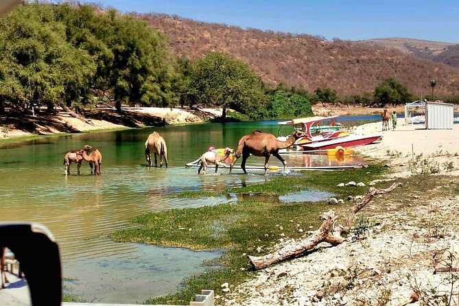 East Salalah Private Tour by VisitSalalah - Gravity Hill: a curious final stop