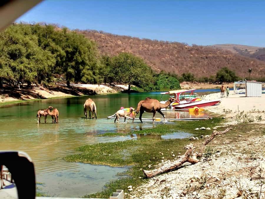 East Salalah Tour by VisitSalalah - Why East Salalah is worth your time