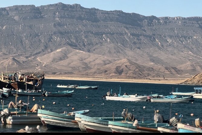 East Salalah tour Full day (private tour) - Taqah and the final coastal view