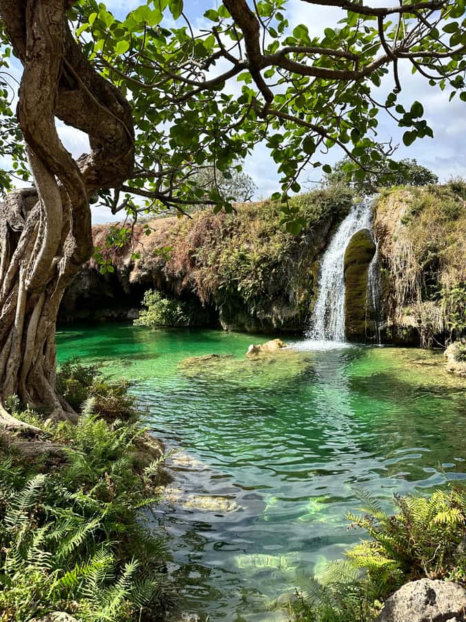 Elite Private Full Day Tour - Salalah Main Attractions - Key points at a glance
