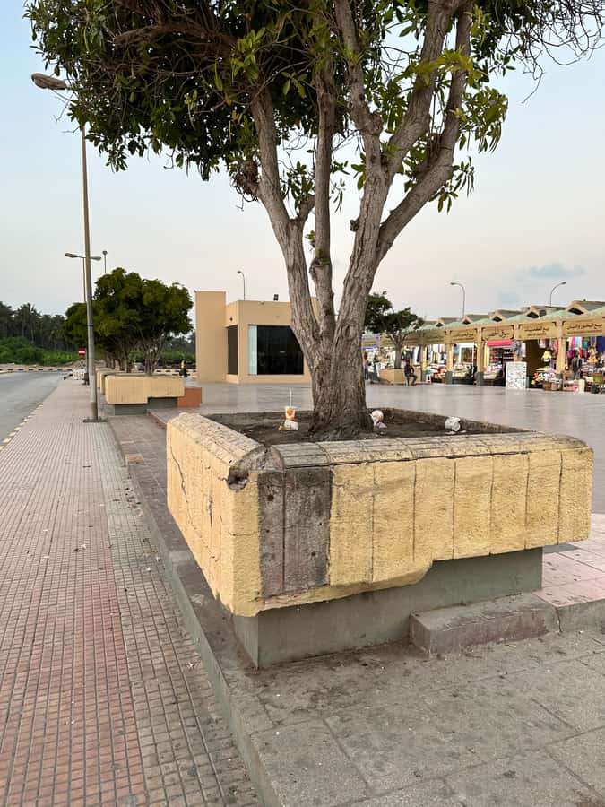 Elite Private Full Day Tour - Salalah Main Attractions - Forty-five minutes at Al Fazayeh Beach