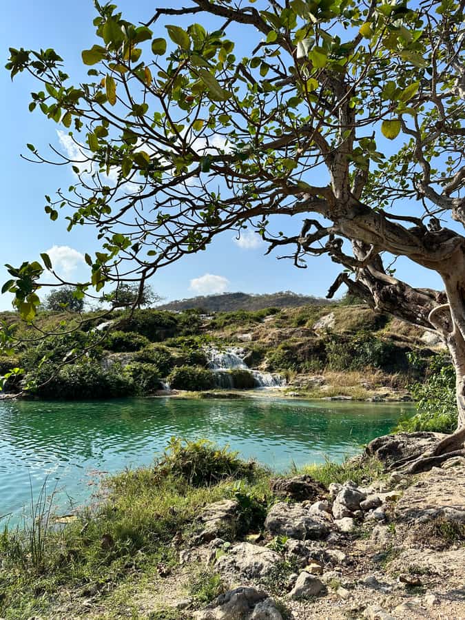 Elite Private Full Day Tour - Salalah Main Attractions - Who will get the most from this tour