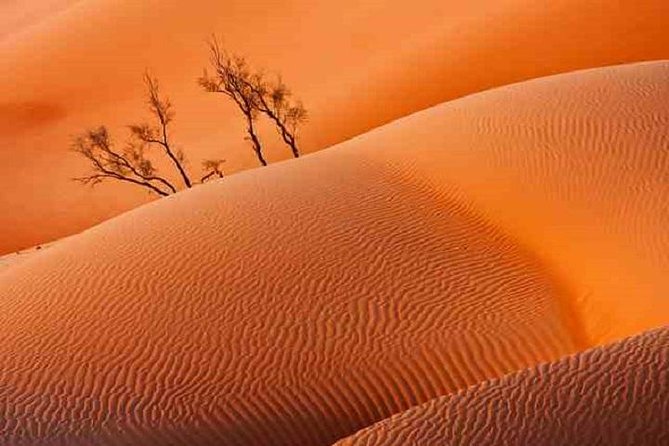 Empty Quarter And Lost City Of Ubar - Crossing the Qara Mountains into Dhofar’s Nejd area