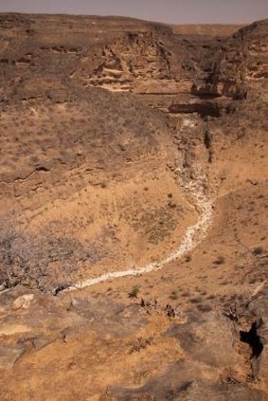 Empty Quarter Desert Sunset tour - Key points to know before you book