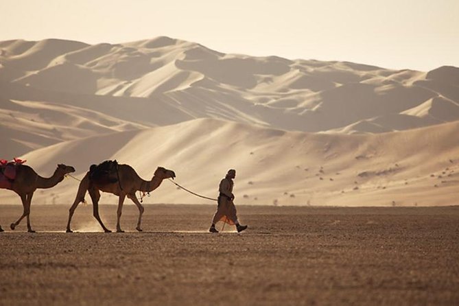 Empty Quarter & Lost City from Salalah - Comfort, Timing, and the Rough Edges