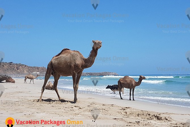 Empty Quarter 'Rub Al Khali' Day Tour - 4X4 Safari Adventure - Ubar, the city swallowed by sand