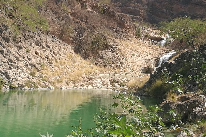 Enjoy a Full-Day Tour Uncovering East Salalah’s Hidden Gems - Taqah beach and the old fishing town