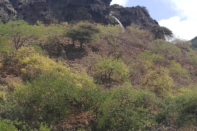 Enjoy a Full-Day Tour Uncovering East Salalah’s Hidden Gems - Tawi Attair, the 211-meter well of birds