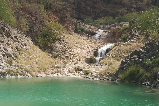 Enjoy a Full-Day Tour Uncovering East Salalah’s Hidden Gems - Transport, group size, and guide style
